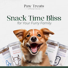 01_Paw-Treats_宠物零食 · WEEGO 设计作品