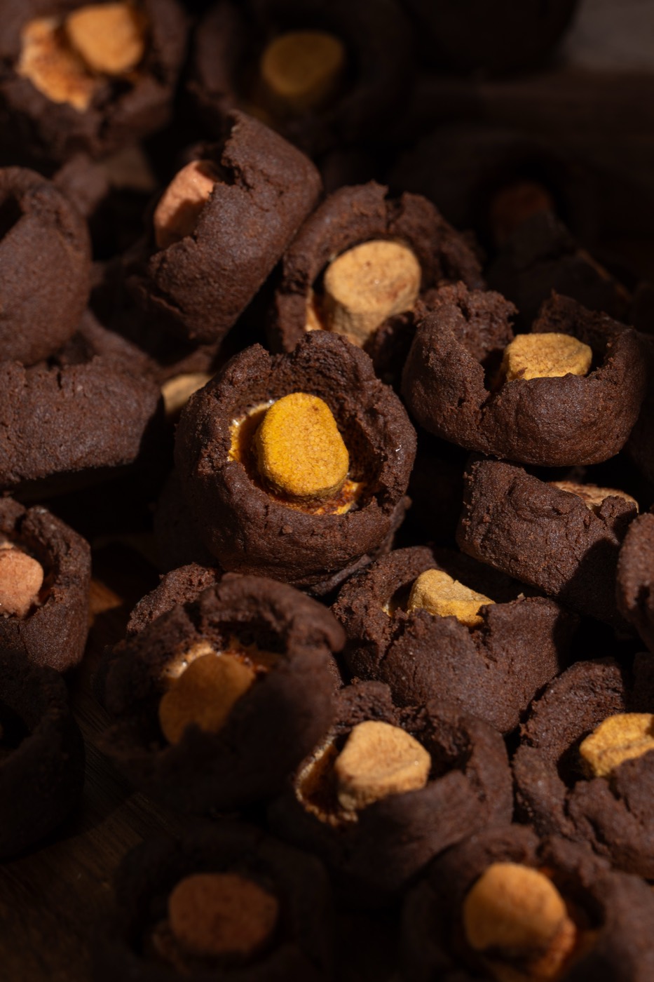 Close-up of chocolate cookies